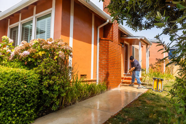 Best Affordable Pressure Washing  in Detroit, MI